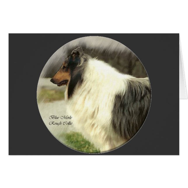 Blue Merle Rough Collie Geschenke (Vorderseite (Horizontal))