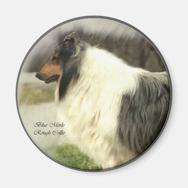 Blue Merle Rough Collie Geschenke Magnet (Vorne)