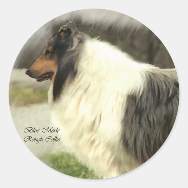Blue Merle Rough Collie Geschenke Runder Aufkleber (Vorderseite)