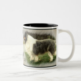 Blue Merle Rough Collie Geschenke Zweifarbige Tasse