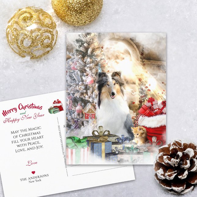 Blue Merle Rough Collie & Kitty, Magic Christmas - Postkarte (Von Creator hochgeladen)