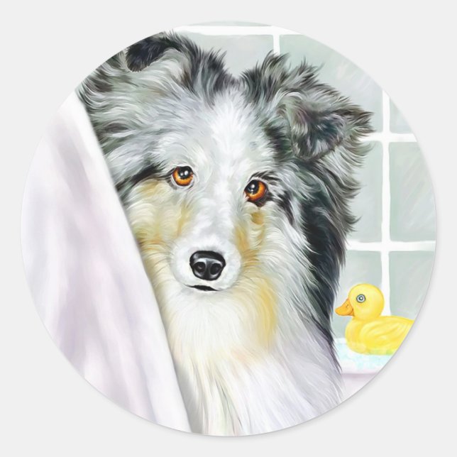Blue Merle Sheltie Bath Runder Aufkleber (Vorderseite)