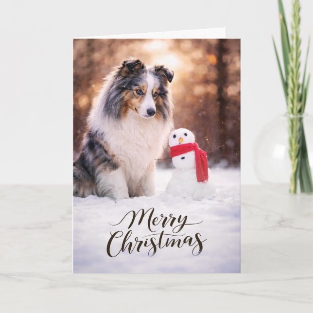 Blue Merle Sheltie Christmas Snowman Feiertagskarte (Vorderseite)