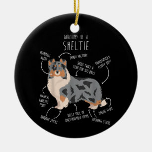 Blue Merle Sheltie Shetland Sheepdog Anatomie, Fun Keramik Ornament