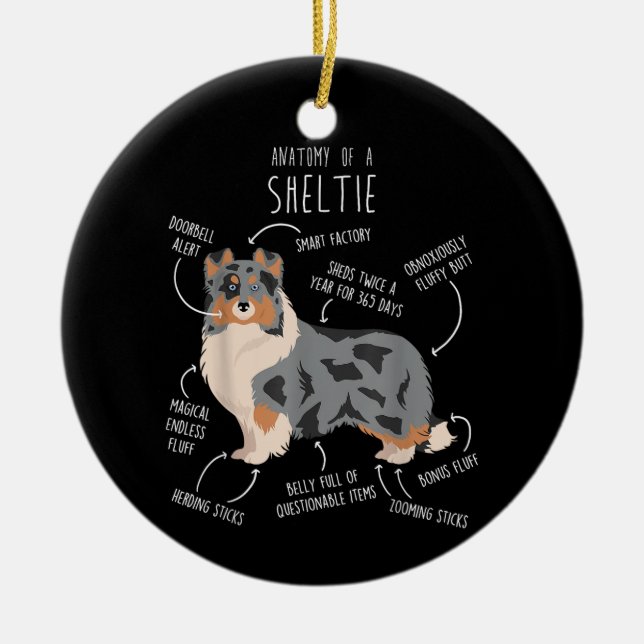 Blue Merle Sheltie Shetland Sheepdog Anatomie, Fun Keramik Ornament (Vorne)