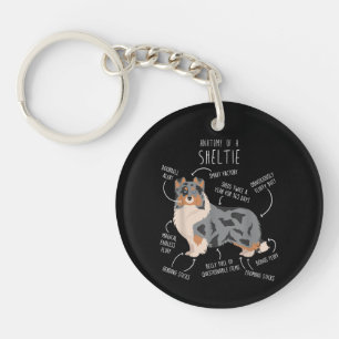 Blue Merle Sheltie Shetland Sheepdog Anatomie, Fun Schlüsselanhänger