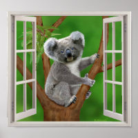 Blue-Mit Augen Baby Koala Bear Fake Window