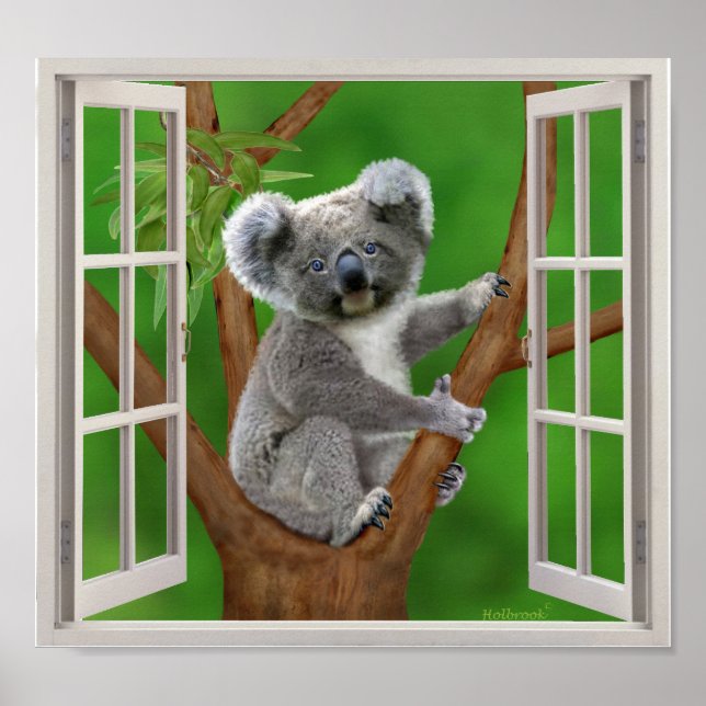 Blue-Mit Augen Baby Koala Bear Fake Window Poster (Vorne)