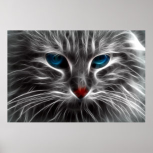Blue Mit Augen Cat Animal Foto Nature Wall Poster