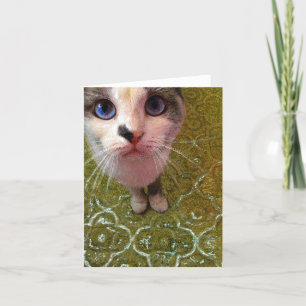 Blue Mit Augen Cat in the Kitchen Art Card Karte