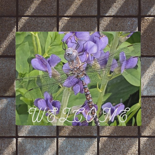 Blue-Mit Augen Darner Dragonfly auf Blume Willkomm Fußmatte (In Situ)