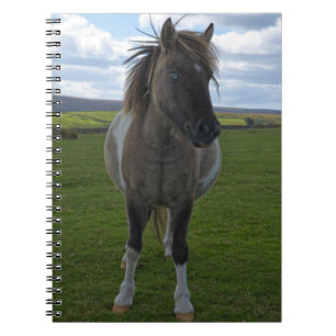 Blue Mit Augen Dartmoor Pony Cards Notizblock