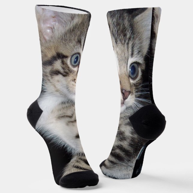 Blue Mit Augen Fluffy Kitten, Crew Socken (Gewinkelt)