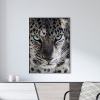Blue Mit Augen Leopard Fotografy Art