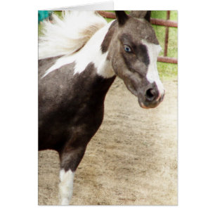 Blue Mit Augen Mini in Liberty Class