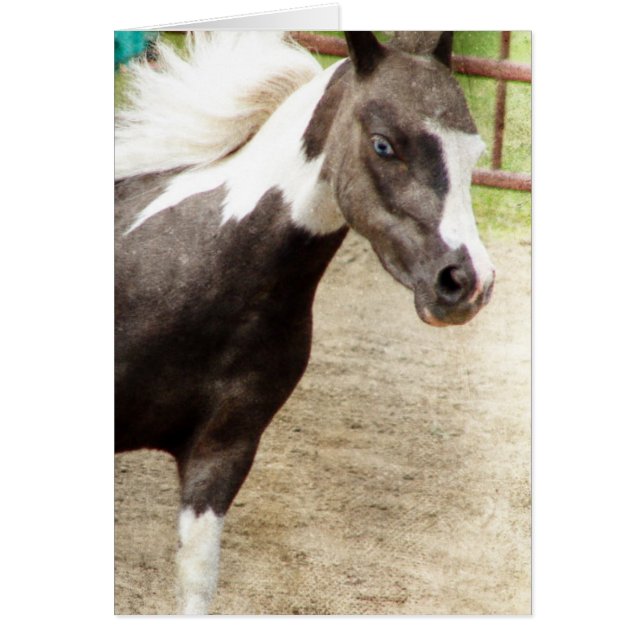 Blue Mit Augen Mini in Liberty Class (Vorne)