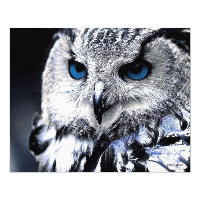 Blue Mit Augen Owl Art Print Fotodruck (Vorne)