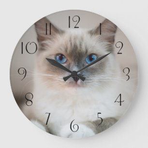 Blue Mit Augen Ragdoll  Cat Große Wanduhr
