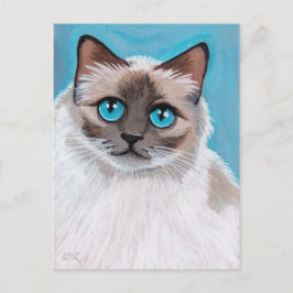Blue Mit Augen Ragdoll Chat Portrait Postcard Postkarte