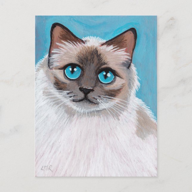 Blue Mit Augen Ragdoll Chat Portrait Postcard Postkarte (Vorderseite)