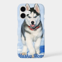 Blue Mit Augen Sibirien Husky - Husky-Mama I - Han