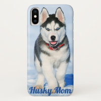 Blue Mit Augen Sibirien Husky - Husky-Mama I - Han