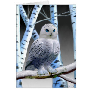BLUE-MIT AUGEN SNOW OWL