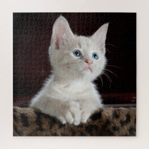 Blue Mit Augen White Kitten Puzzle