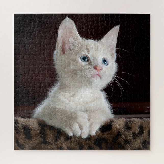 Blue Mit Augen White Kitten Puzzle (Vertikal)