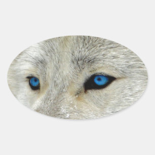 Blue Mit Augen White Wolf Ovaler Aufkleber