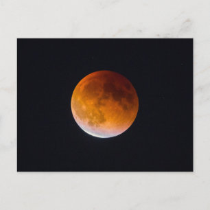 Blue Moon Lunar Eclipse   Washingtoner Staat Postkarte
