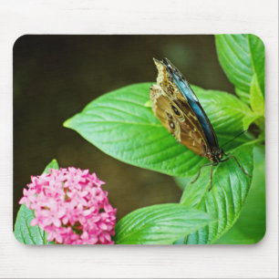 Blue Morpho 143 Mousepad