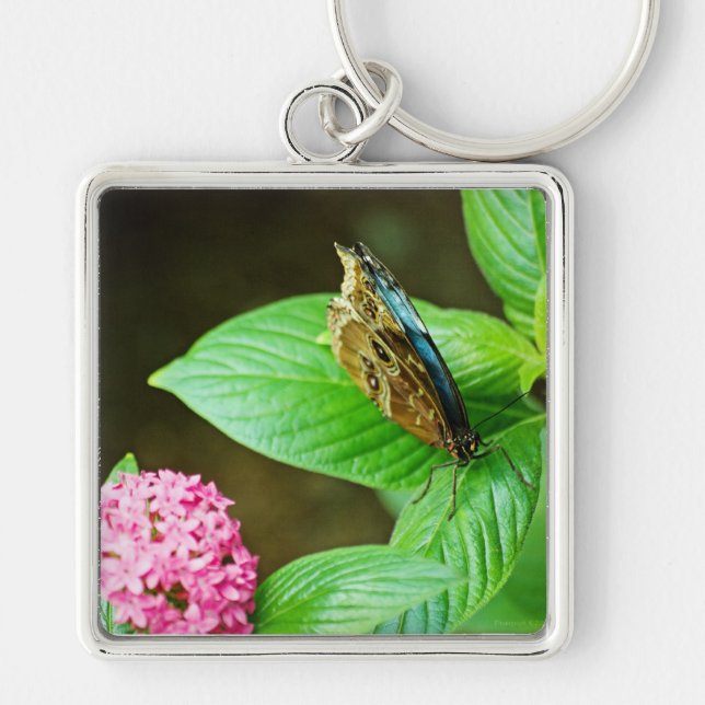 Blue Morpho 143 Schlüsselanhänger (Vorne)
