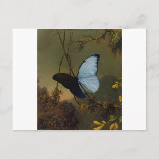 Blue Morpho Butterfly 1865 Frühling Persönliche Ku Postkarte