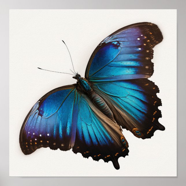 Blue Morpho Butterfly Art Print Poster (Vorne)