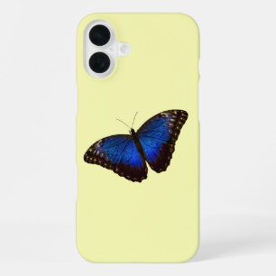 Blue Morpho Butterfly auf der Kanarischen Insel iPhone 16 Plus Hülle