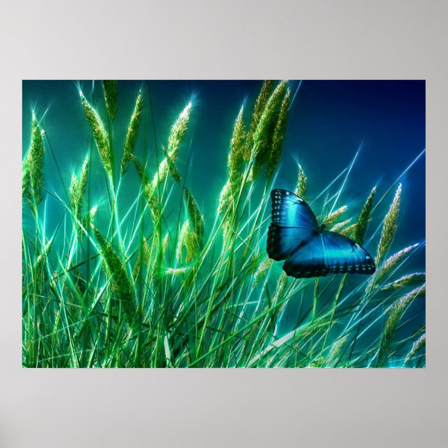 Blue Morpho Butterfly auf grünem Gras Poster (Vorne)