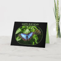 Blue Morpho Butterfly Happy Birthday