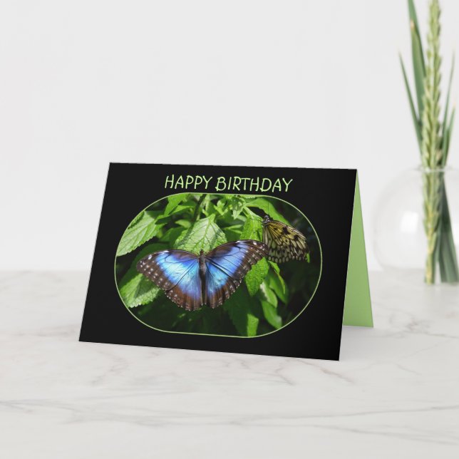 Blue Morpho Butterfly Happy Birthday Karte (Vorderseite)