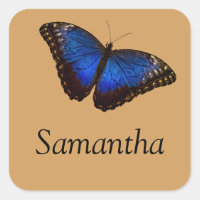 Blue Morpho Butterfly mit Namen