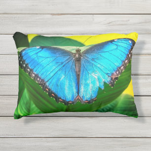 Blue Morpho Butterfly Natur Kissen Für Draußen
