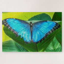Blue Morpho Butterfly Natur Puzzle