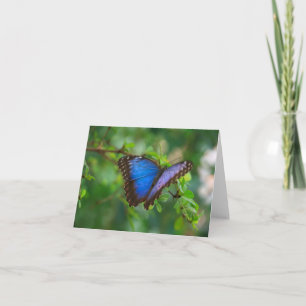 Blue Morpho Butterfly Note Card Karte