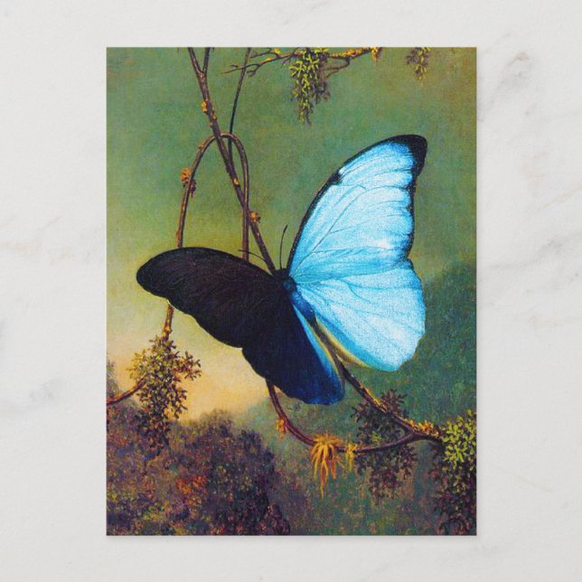 Blue Morpho Butterfly Postcard Postkarte (Vorderseite)