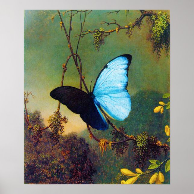 Blue Morpho Butterfly Poster (Vorne)