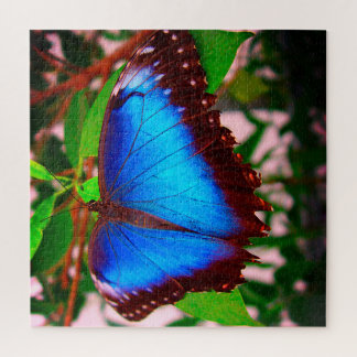 Blue Morpho Butterfly Puzzle