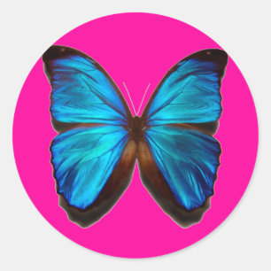 Blue Morpho Butterfly Runder Aufkleber