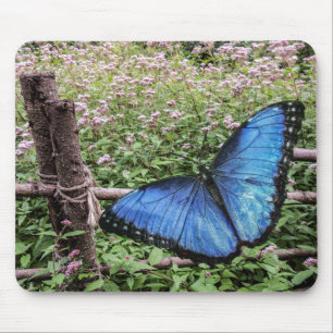 Blue Morpho Butterfly Rustikales Design Mousepad