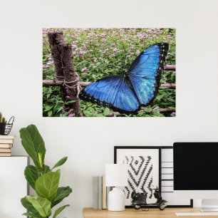 Blue Morpho Butterfly Rustikales Design Poster