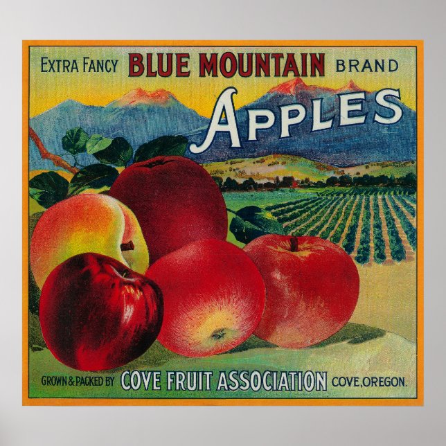 Blue Mountain Apple Crate LabelCove, OR Poster (Vorne)
